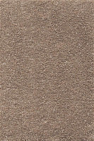 Ковролин AW Promenade 34 фото 1 | FLOORDEALER